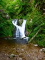 /album/fotogalerie-tag-2-wasserfalle/p1020161-jpg/