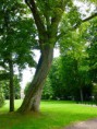 /album/fotogalerie-tag-3-im-kurpark/p1020174-jpg/
