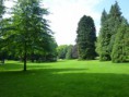 /album/fotogalerie-tag-3-im-kurpark/p1020175-jpg/