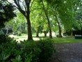 /album/fotogalerie-tag-3-im-kurpark/p1020181-jpg/